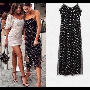 Zara NWT embroidered tulle dress